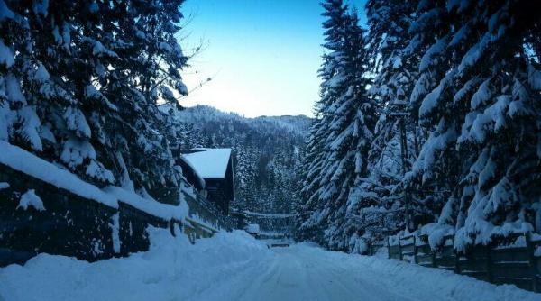 concurs de fotografie mircea badea vs carmen bruma