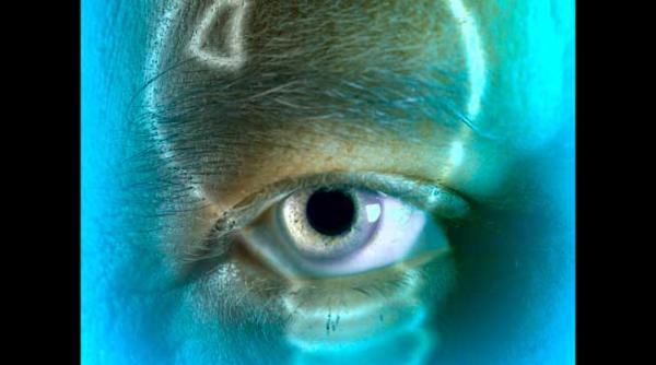 viata nu cunoaste esecul