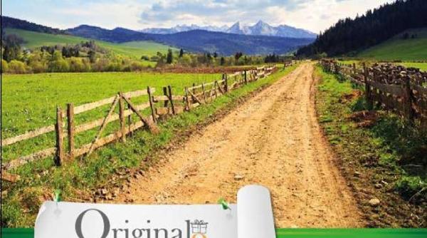 esti in cautarea cadoului perfect p