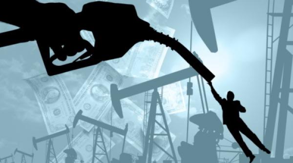 nouriel roubini prezice un petrol scump pentru 2013