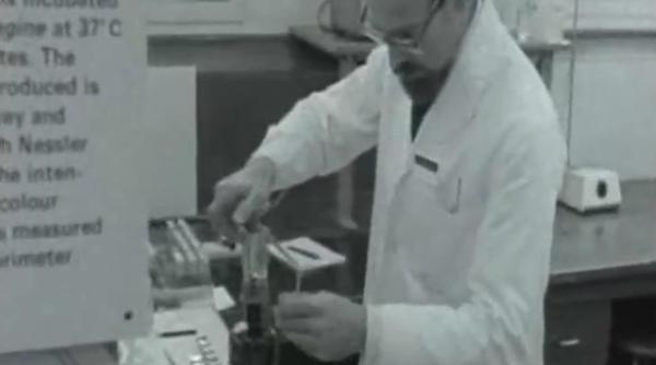 experimente militare secrete in marea britanie mii de animale aruncate in aer otravite sau infectate cu antrax video