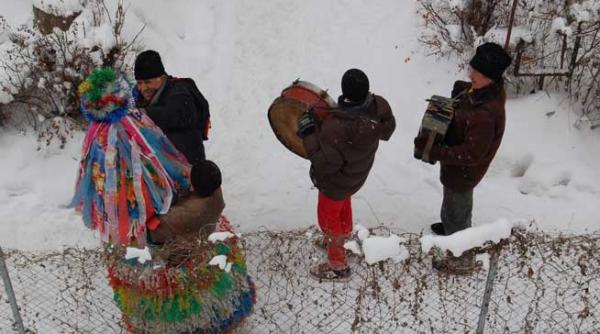 capra apocalipsei asta i capra din pungesti astazi esti maine tot esti