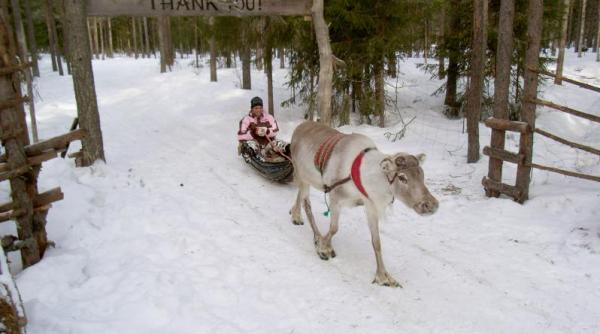 unde plecam de craciun