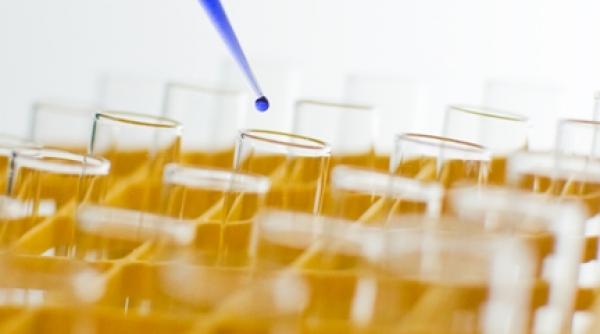 cercetarea cenusareasa economiei