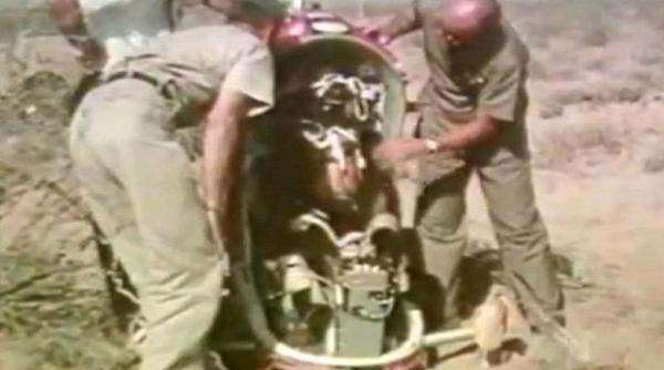 americanii au drogat ursi ca sa testeze scaunele ejectabile video