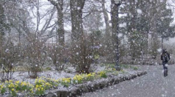 cum va fi vremea pana la boboteaza