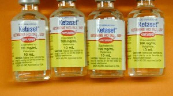 o creatoarea de moda arestata pentru detinere de ketamina designerul facea trafic impreuna cu un medic veterinar