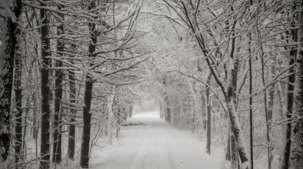 tornade si viscol de craciun in statele unite morti raniti locuinte avariate si intreruperi de curent