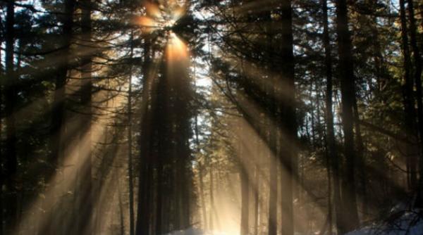 vreme calda pentru decembrie dar reapar precipitatiile vezi cum va fi vremea in urmatoarele zile