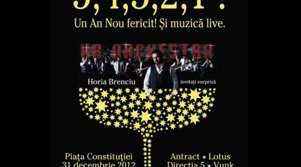 2013 la multi ani romania piata constitutiei un nou inceput