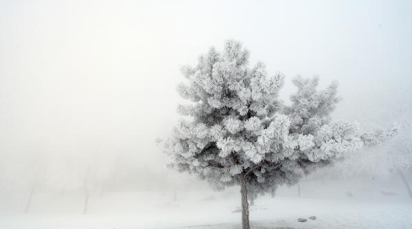 27 decembrie 2012 imaginile zilei