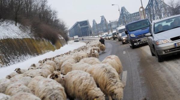 6 ani de ue infrastructura la sfantu a teapta