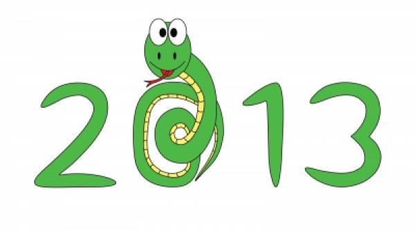 conform zodiacului chinezesc 2013 nu va fi un an linistit