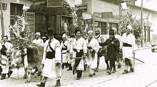 plugusorul 2013 aho aho copii si frati stati putin coabitati