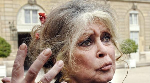 bridgitte bardot vrea cetatenie rusa pentru ca franta a devenit un cimitir de animale