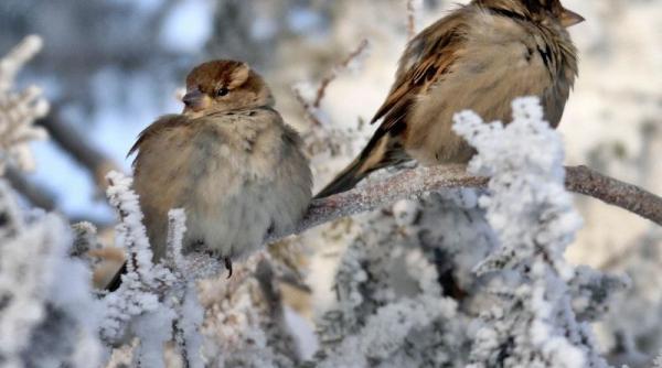 vremea se raceste incepand de luni cum va fi vremea in weekend