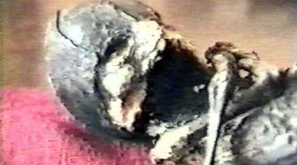 video mit sau realitate misterul extraterestrului aliosenka gasit de o batrana in rusia