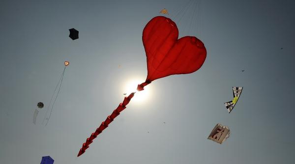 8 ianuarie 2013 imaginile zilei