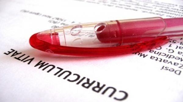 cum poti obtine un loc de munca in 2013