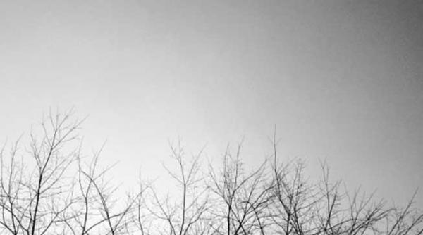 un orb uimeste lumea cu fotografiile sale galerie foto