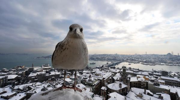 10 ianuarie 2013 imaginile zilei