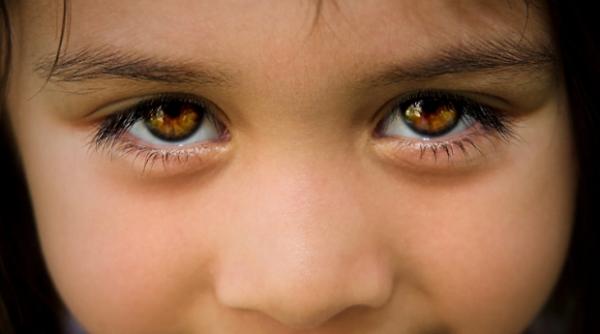 de ce avem o incredere mai mare in ochii caprui cercetatorii au raspunsul