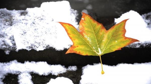 ninsori si temperaturi scazute incepand de sambata vezi prognoza meteo pentru weekend