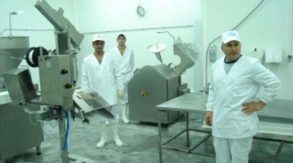 porcarie la abator protest in germania din cauza dumping ului social romanesc