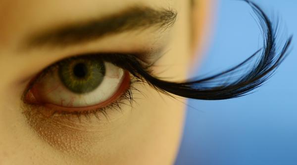 13 ianuarie 2013 imaginile zilei