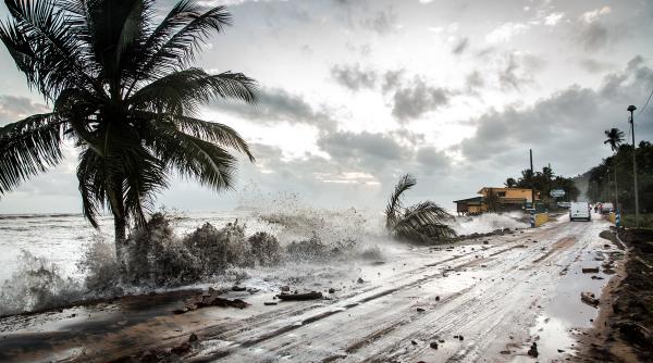 16 ianuarie 2012 imaginile zilei