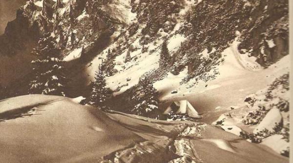 sanpetru lupilor din miezul iernii