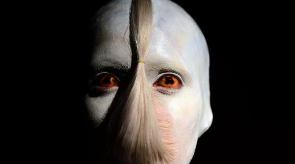 17 ianuarie 2013 imaginile zilei