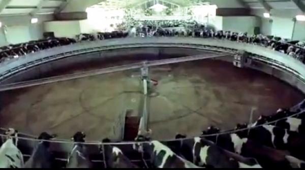 documentar tulburator animalele farfurie