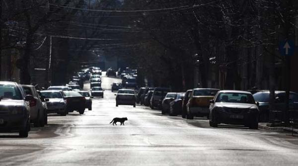 timbrul de mediu va fi calculat in functie doar de emisiile de dioxid de carbon si depreciera masinii