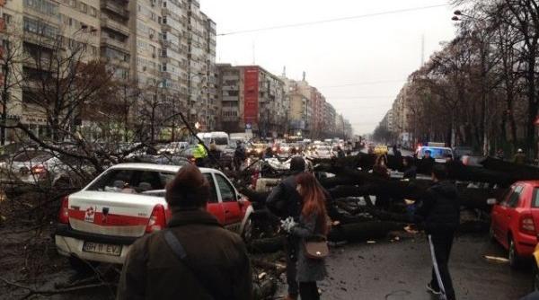 vantul face ravagii in capitala un copac a cazut peste opt masini pe soseaua stefan cel mare trei stalpi doborati in sectorul 5