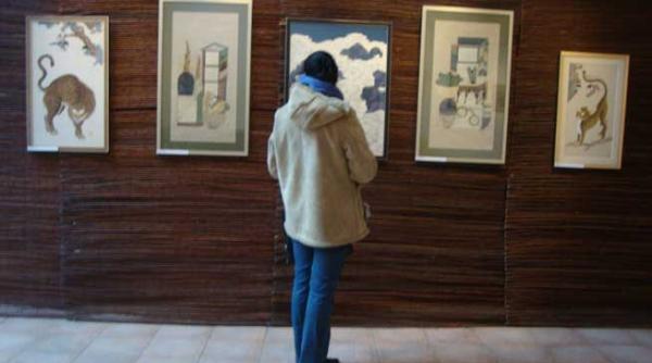 coreea si culorile ei