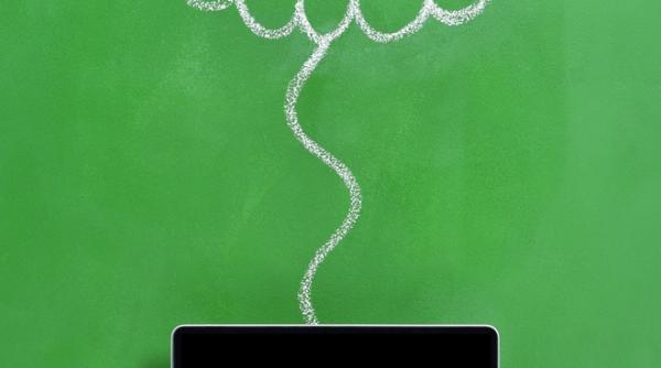 locuiesc in romania dar studiez la harvard