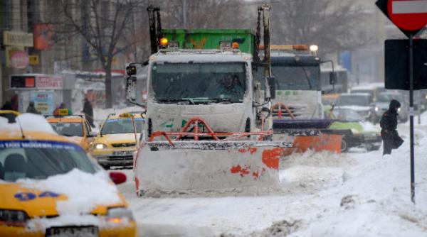 primaria capitalei pregatita de lupta cu nametii