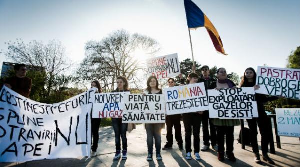 gaze sist paltinis chevron