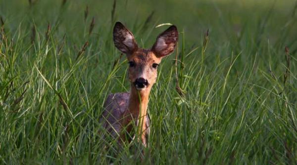 lumea lor si lumea mea