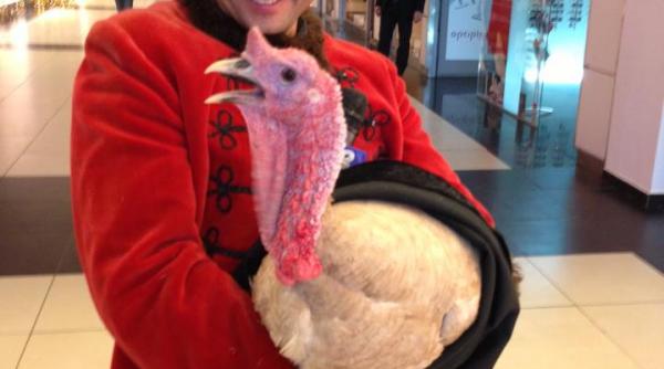 maruta dan diaconescu simona gherghe acces direct