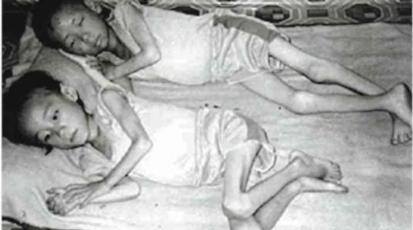 canibalism coreea de nord