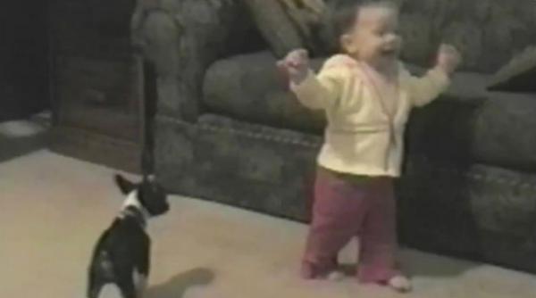 primii pasi bebelus caine