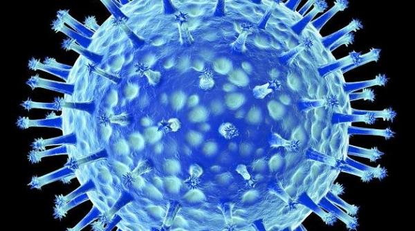 controversatul experiment pentru crearea unui virus mutant al gripei aviare reluat virusul poate ucide milioane de oameni