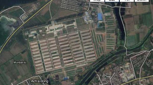 lagare coreea de nord google