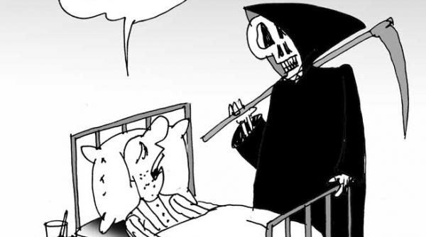 caricatura zilei 31 ianuarie 2013