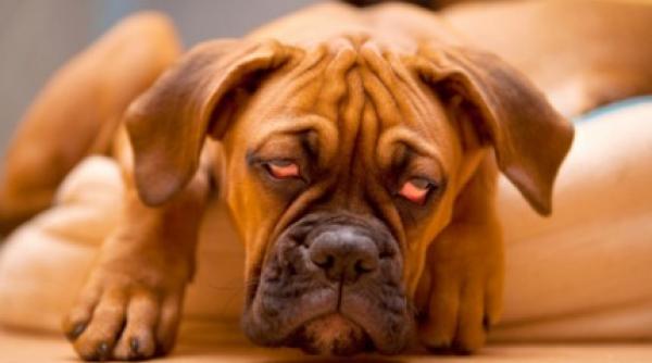 ochi obositi 5 cauze care iti reduc acuitatea vizuala