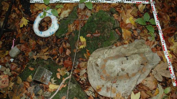 iata cine a aruncat in rapa obiectele din casa elodiei