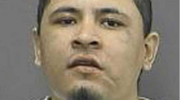 prins in timp ce incerca sa lase gravida iapa vecinului