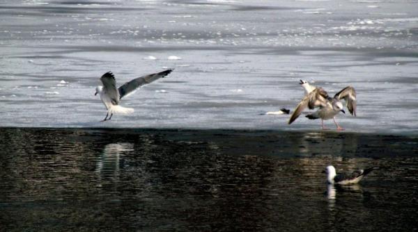 vreme calda in urmatoarele trei zile apoi revin ninsorile vezi prognoza meteo pentru perioada 4 17 februarie